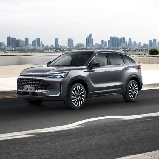 Beijing X75 LED 360 Grad Kamera LED SHZ SZL MASAGE