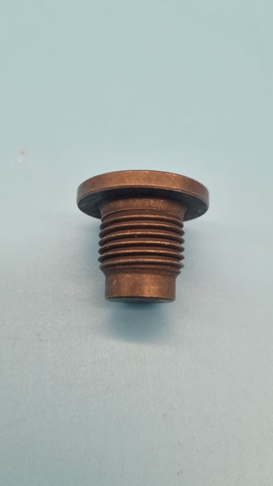 Ölablassschraube DFM Rich6 111282ZG6B Motor Öl Ablass Schraube Ersatzteil
