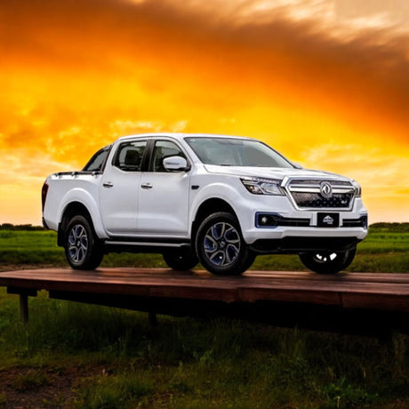 DFM Rich 6 Pickup
