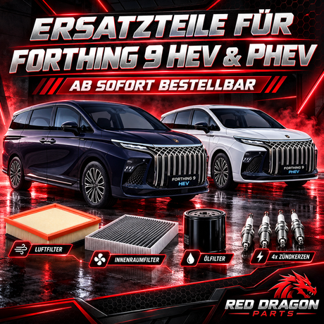 DFM Forthing 9 HEV & PHEV: Ersatzteile
