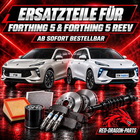 DFM Forthing 5 & Forthing 5 REEV Ersatzteile